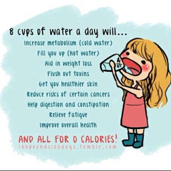 Drinking 8 Cups of Water a Day