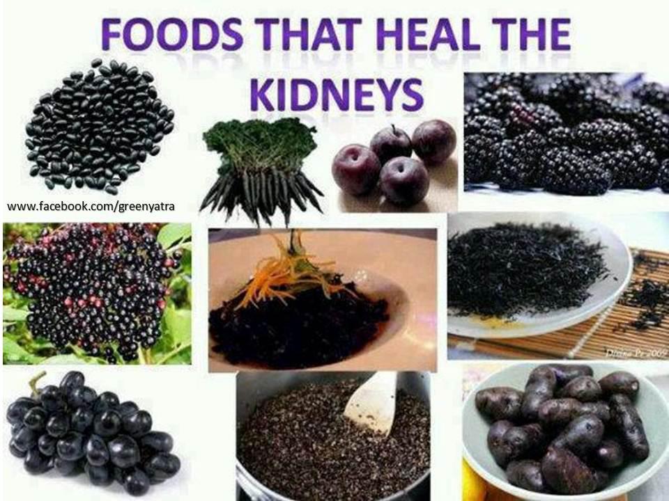 Foods That Heal The Kidneys