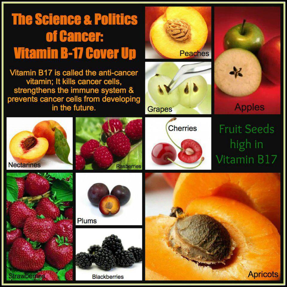 Fruits with Anti-Cancer Vitamin B-17