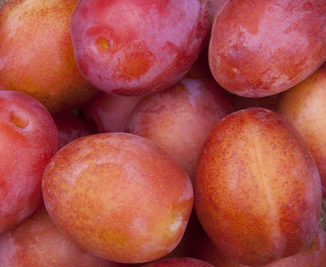 The Health Benefits of Eating Plums
