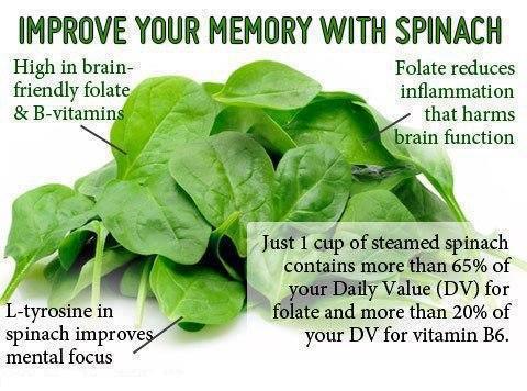 Spinach can Improve Your Brain’s Memory