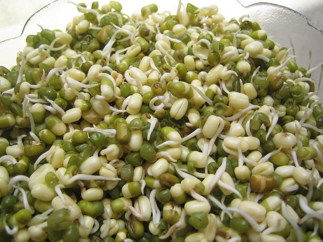 Reduce Hairfall when You Eat Sprouted Green Gram