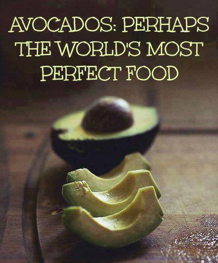 10 Health Benefits From Eating Avocados