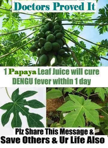 Cure Dengue Fever Using Papaya Fruit or Leaves