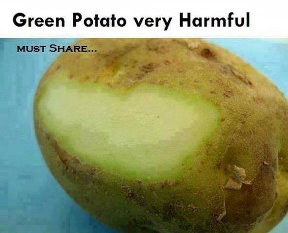 Green Potatoes are Dangerous for Health