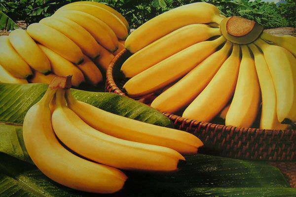 Very interesting FACTS About Bananas