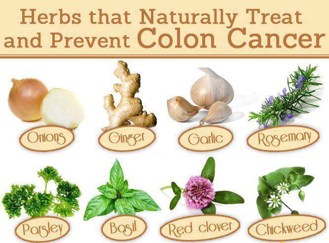 Herbs that Naturally Treat and Prevent Colon Cancer