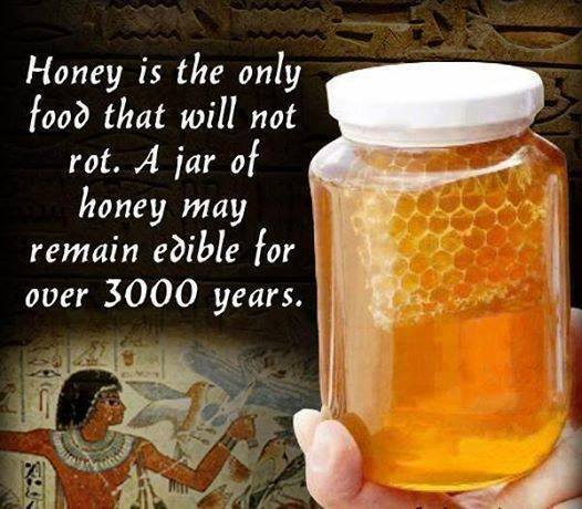 The Hidden Secret of Honey